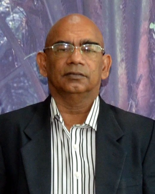 Vice President